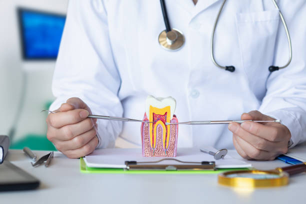 Best Broken or Cracked Tooth Emergency Dentist in Braddock, PA